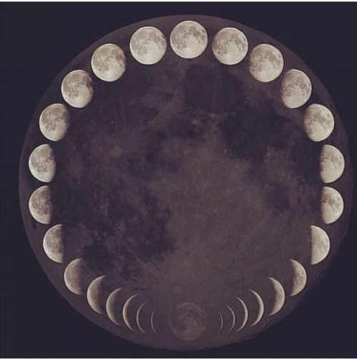 tumblr_n9k6smQdZJ1rltt9wo1_500